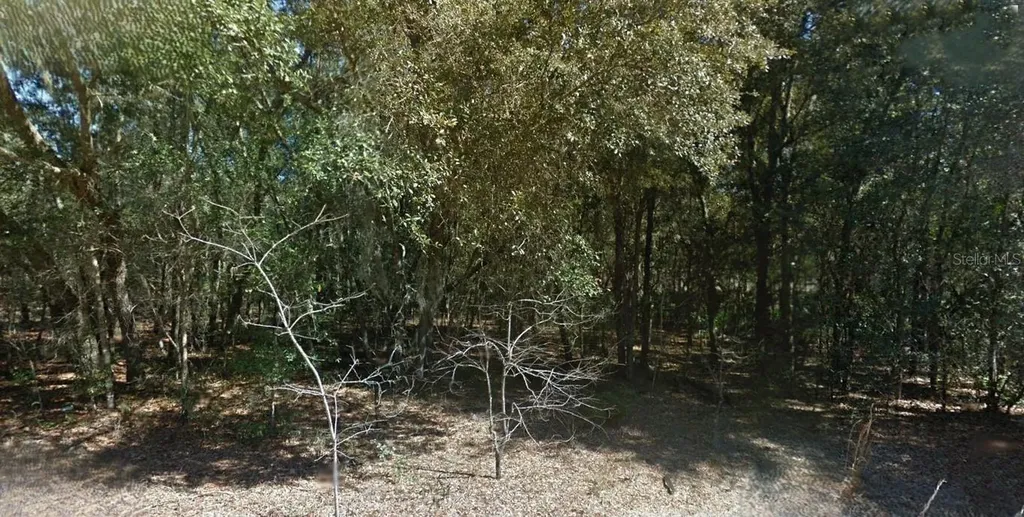 202 Cedar Trail Interlachen FL 32148
