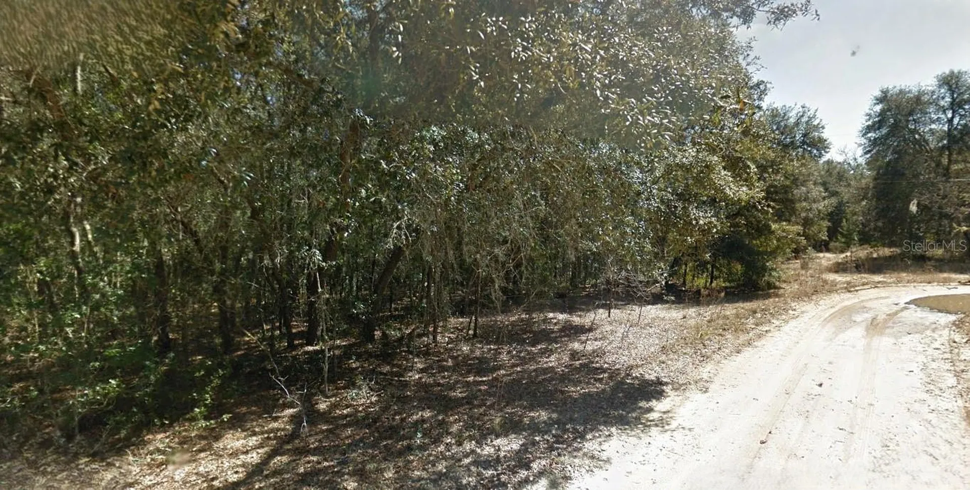 202 Cedar Trail Interlachen FL 32148