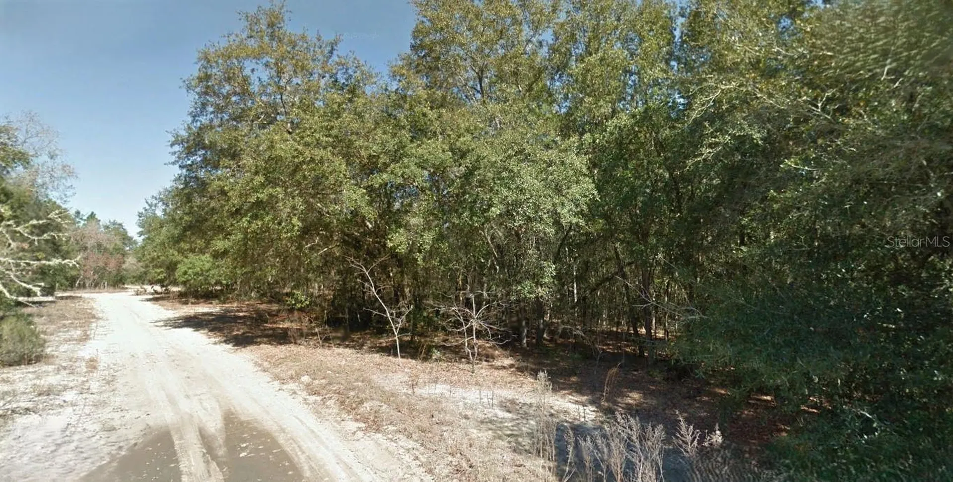 202 Cedar Trail Interlachen FL 32148