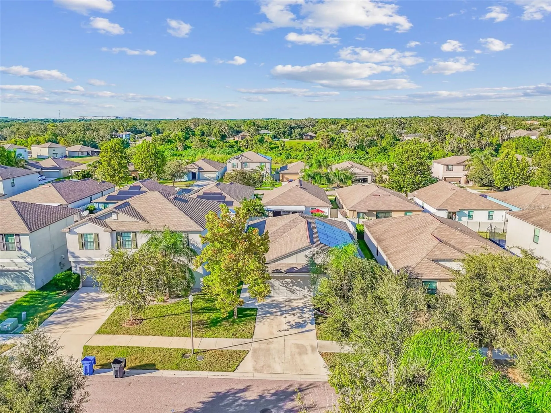 10112 Rosemary Leaf Lane Riverview FL 33578