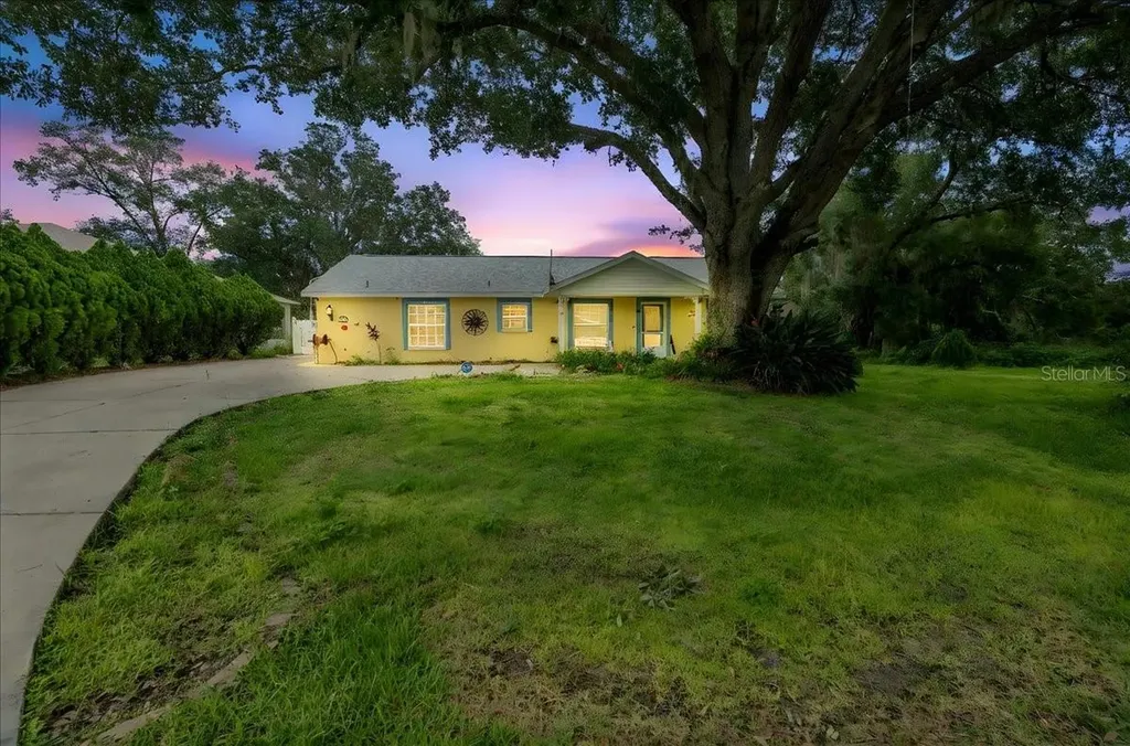 12028 San Angela Drive San Antonio FL 33576