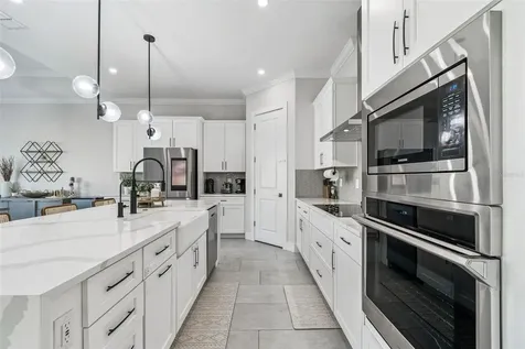 9028 Ivy Stark Boulevard Wesley Chapel FL 33545