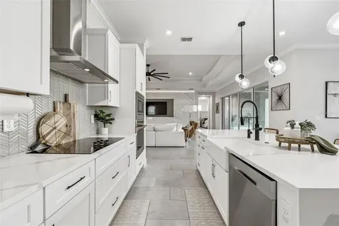 9028 Ivy Stark Boulevard Wesley Chapel FL 33545