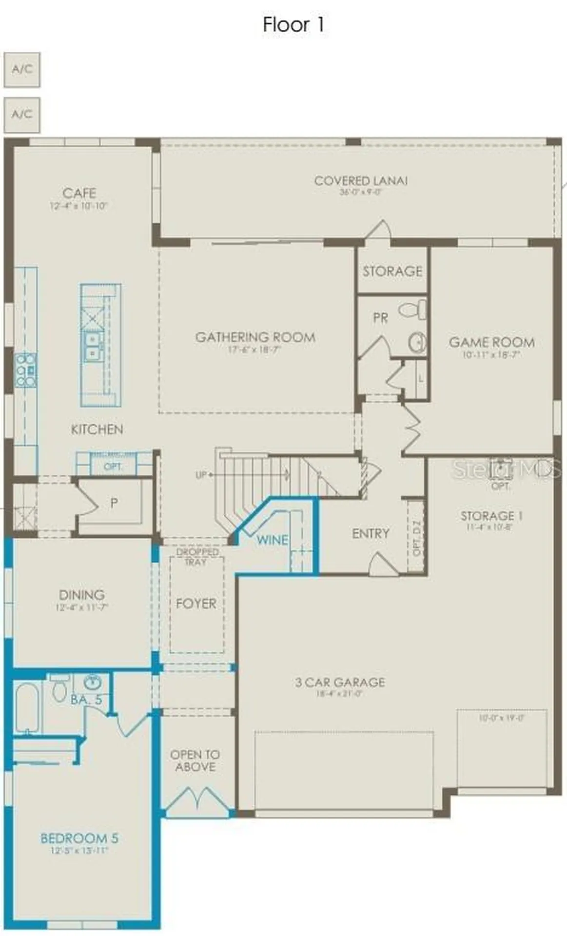 4632 Golden Birch Avenue Clermont FL 34714
