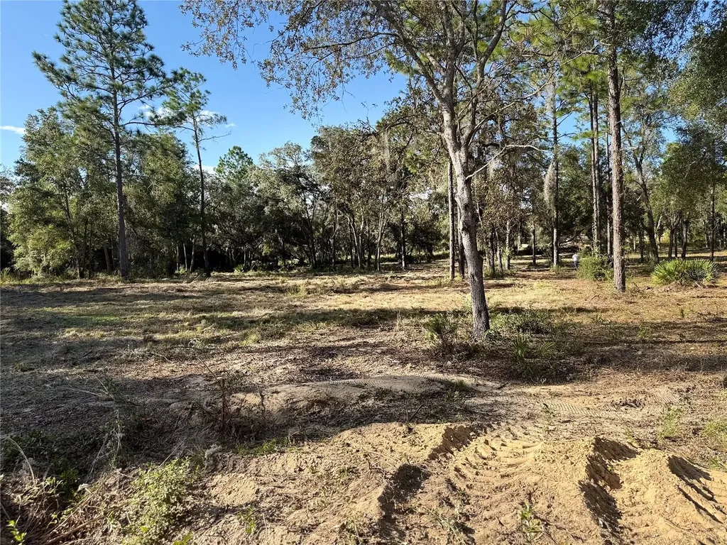 11491 NE 109th Place Archer FL 32618