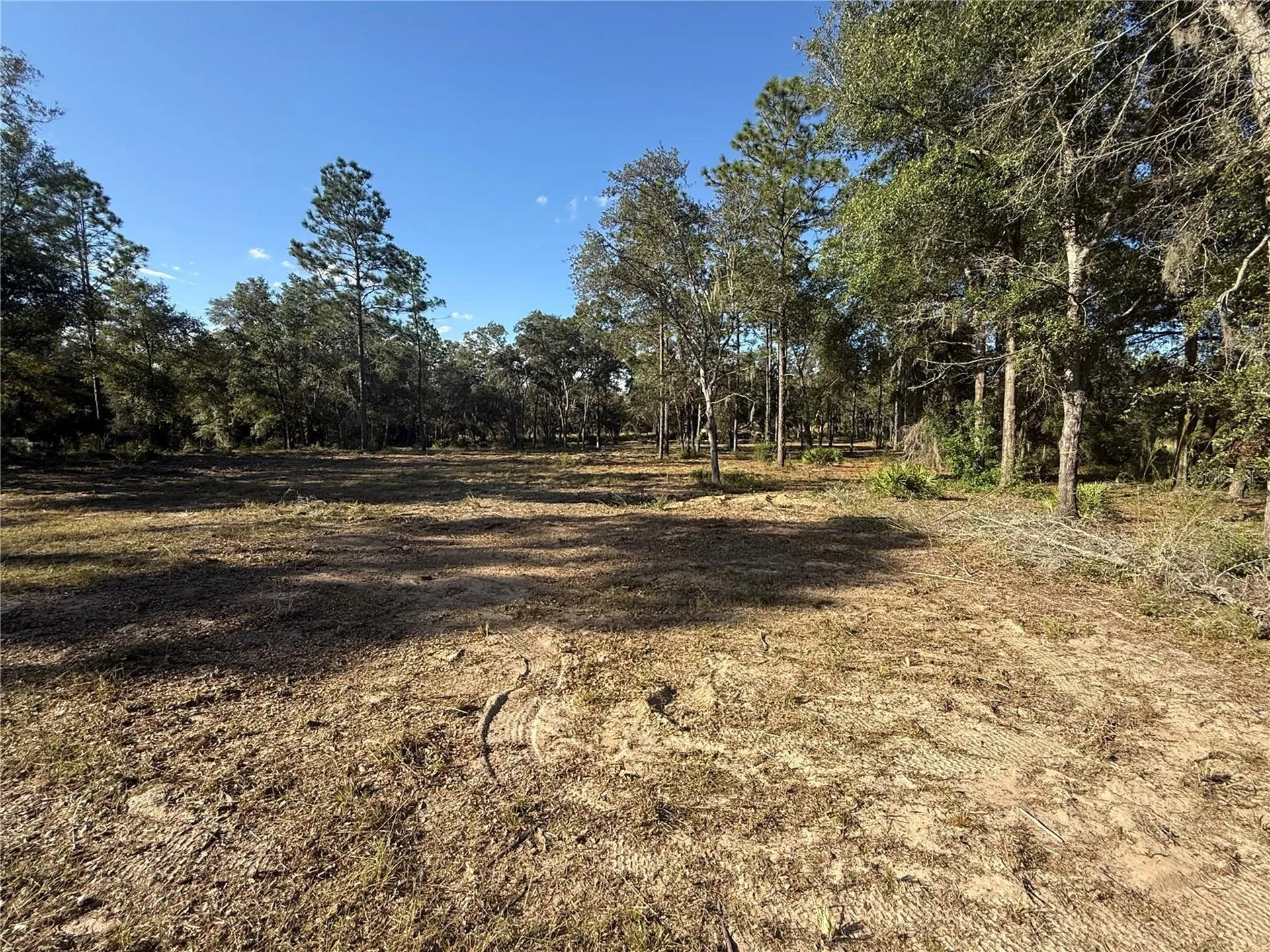 11491 NE 109th Place Archer FL 32618