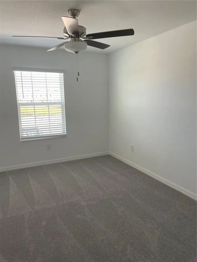 32077 Powderpuff Mimosa San Antonio FL 33576