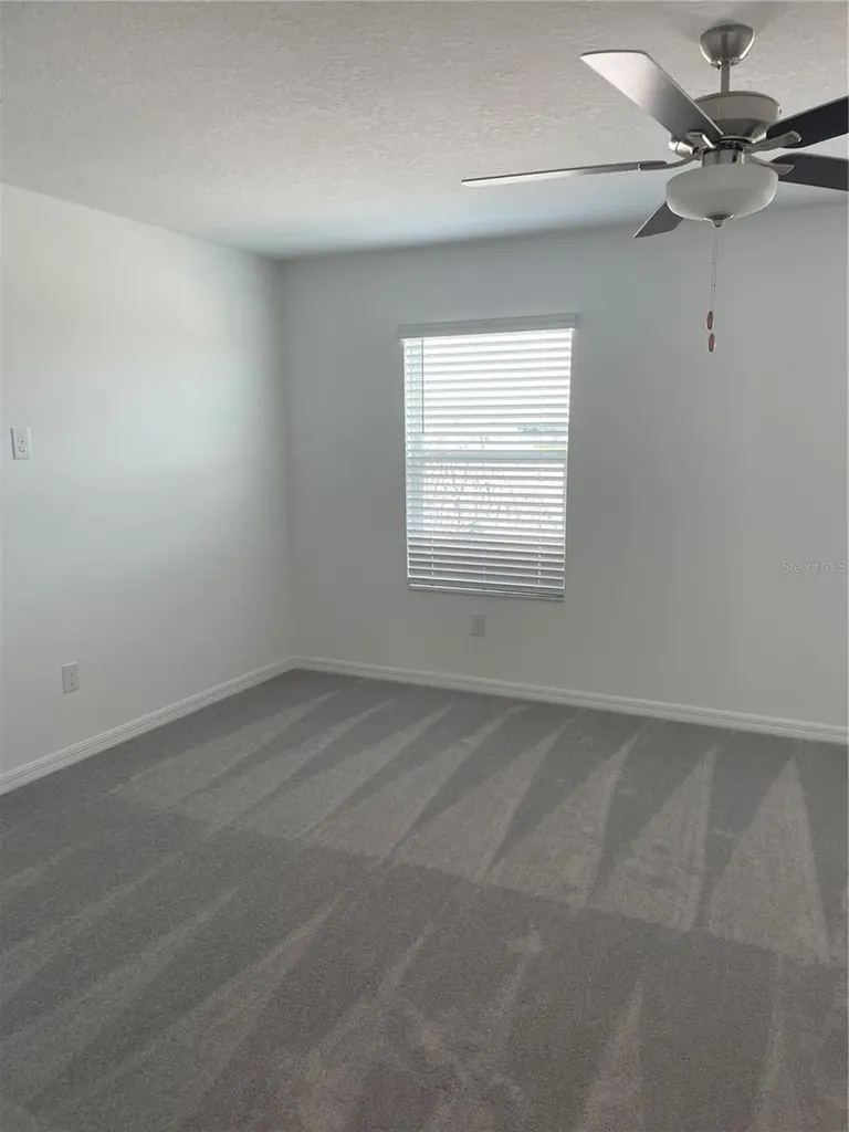 32077 Powderpuff Mimosa San Antonio FL 33576