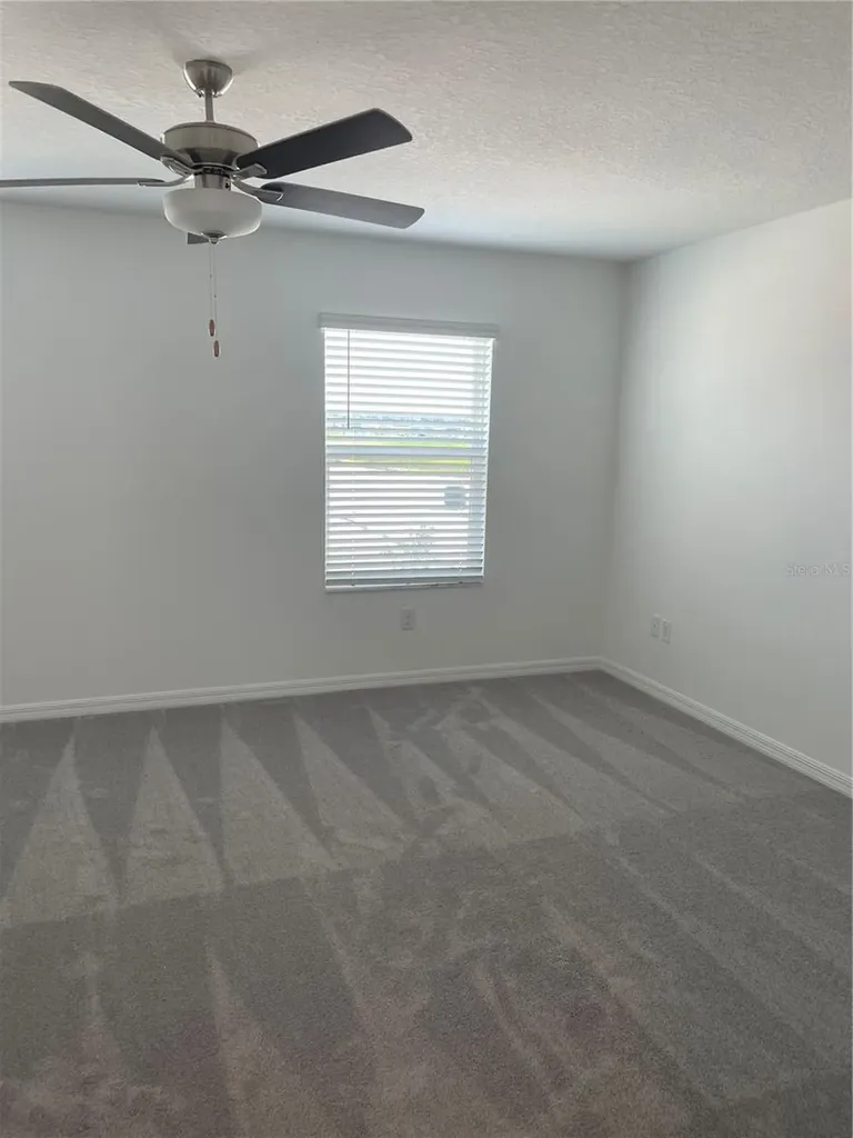 32077 Powderpuff Mimosa San Antonio FL 33576