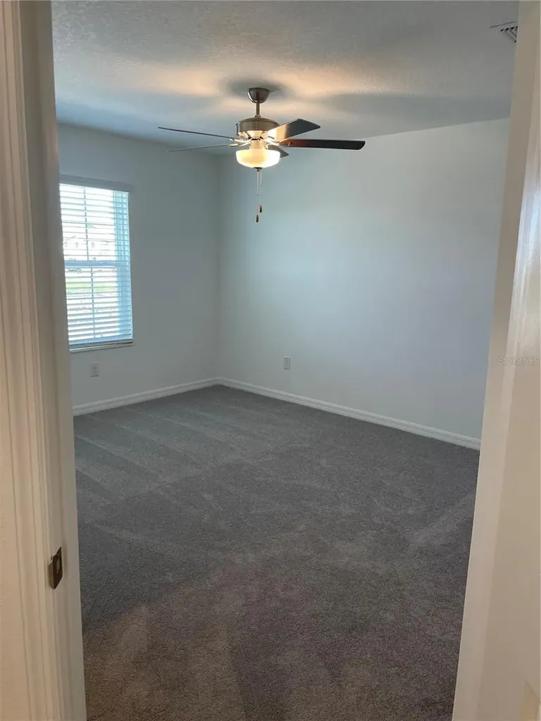 32077 Powderpuff Mimosa San Antonio FL 33576