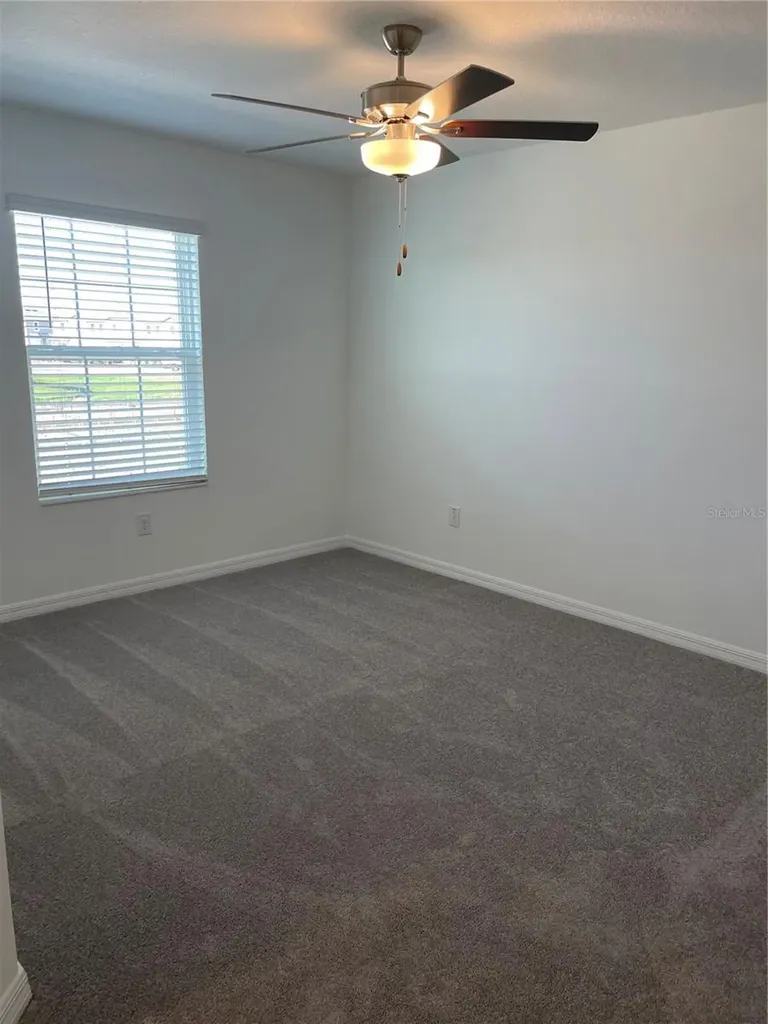 32077 Powderpuff Mimosa San Antonio FL 33576