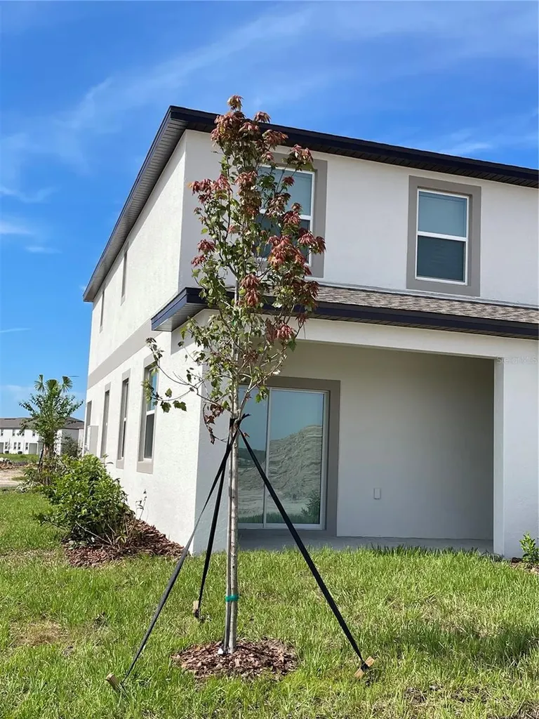 32077 Powderpuff Mimosa San Antonio FL 33576