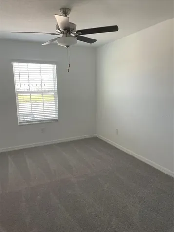 32077 Powderpuff Mimosa San Antonio FL 33576
