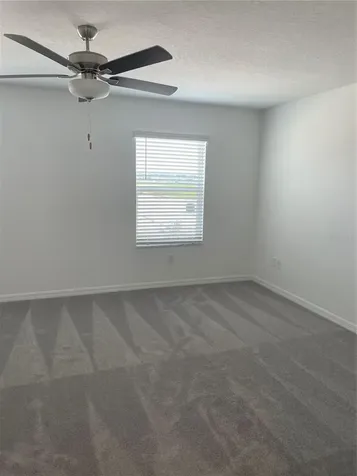 32077 Powderpuff Mimosa San Antonio FL 33576