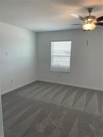 32077 Powderpuff Mimosa San Antonio FL 33576