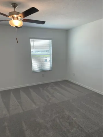 32077 Powderpuff Mimosa San Antonio FL 33576
