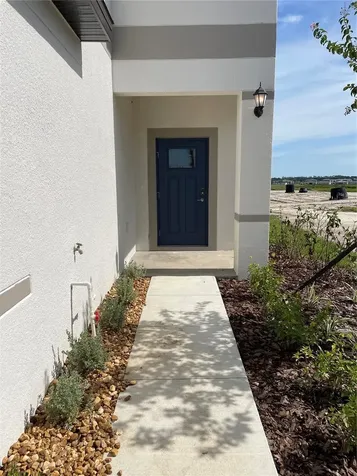 32077 Powderpuff Mimosa San Antonio FL 33576