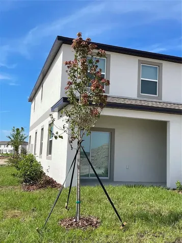 32077 Powderpuff Mimosa San Antonio FL 33576