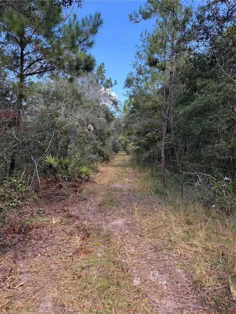 Tbd Quail Road Cedar Key FL 32625