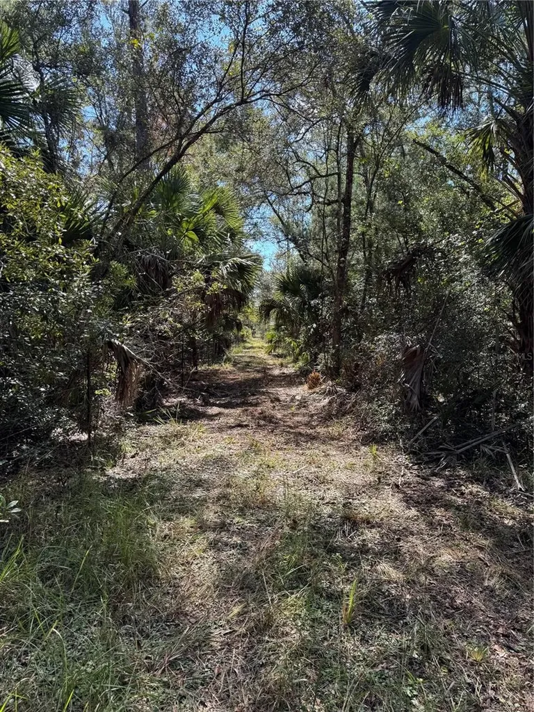 Tbd Quail Road Cedar Key FL 32625