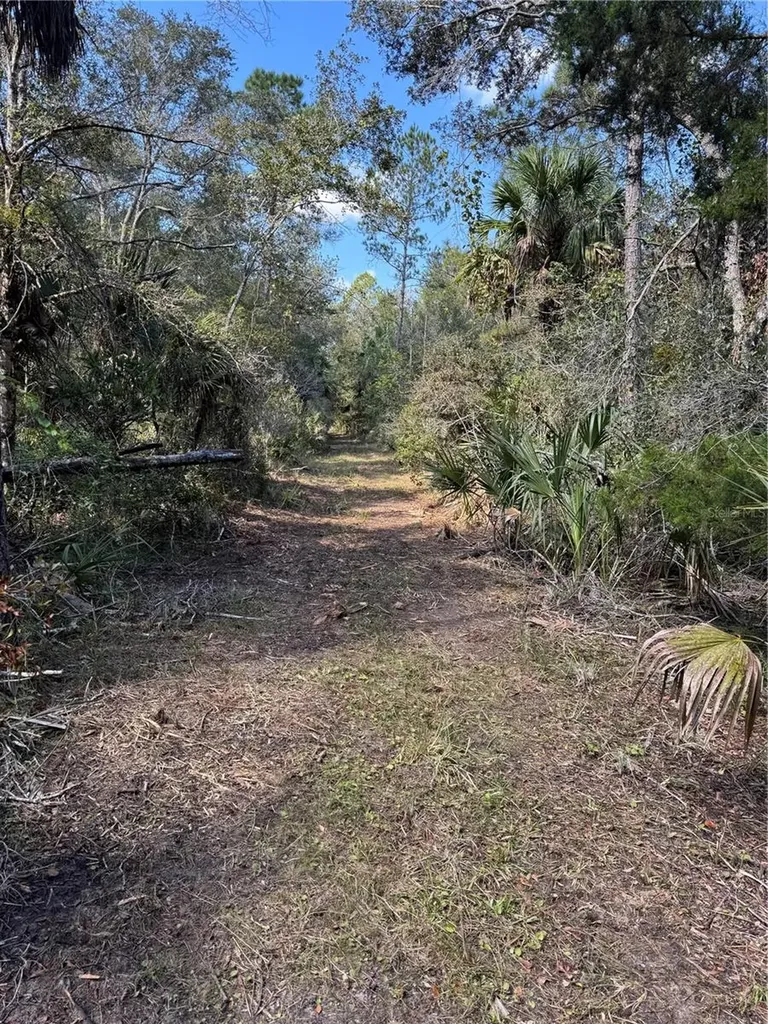 Tbd Quail Road Cedar Key FL 32625