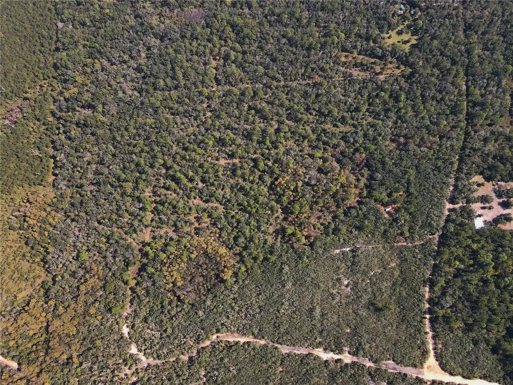 Tbd Quail Road Cedar Key FL 32625