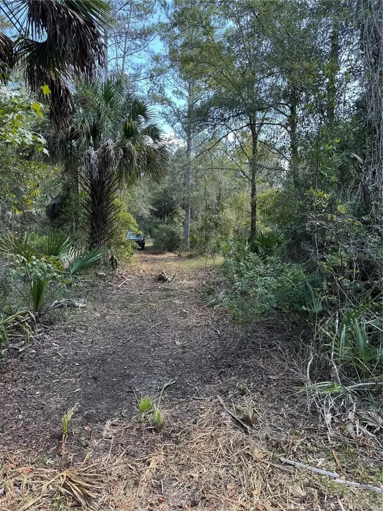 Tbd Quail Road Cedar Key FL 32625
