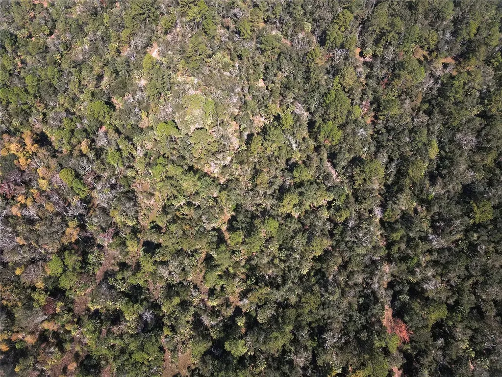 Tbd Quail Road Cedar Key FL 32625
