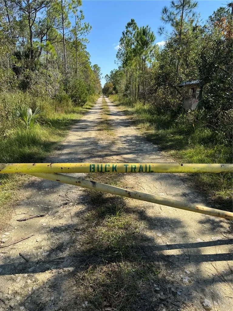 Tbd Quail Road Cedar Key FL 32625