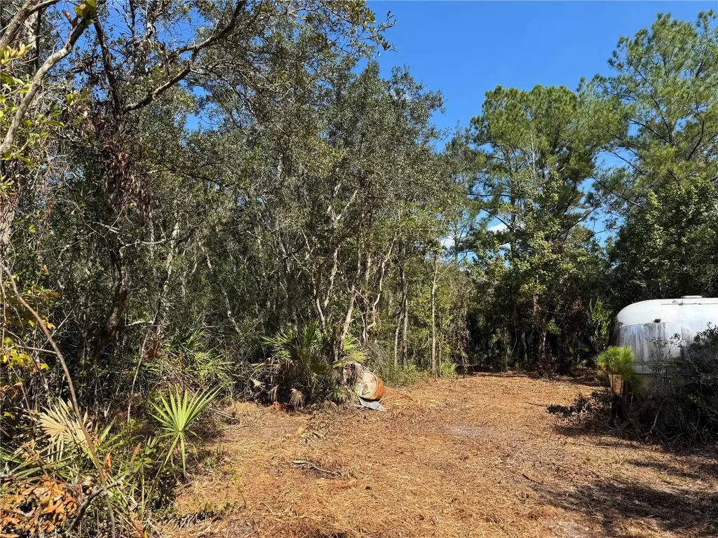 Tbd Quail Road Cedar Key FL 32625