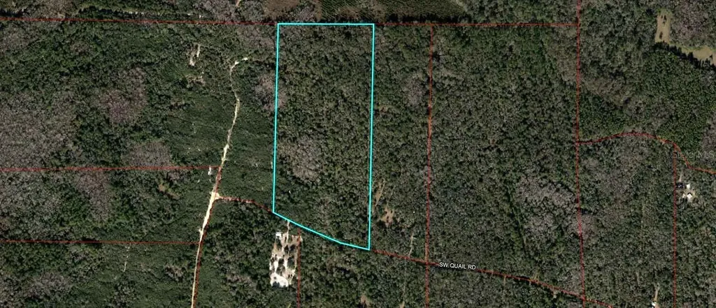 Tbd Quail Road Cedar Key FL 32625