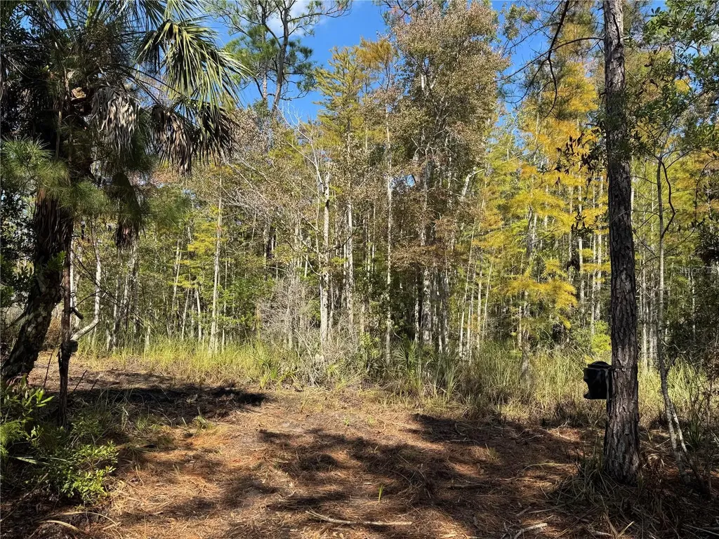Tbd Quail Road Cedar Key FL 32625