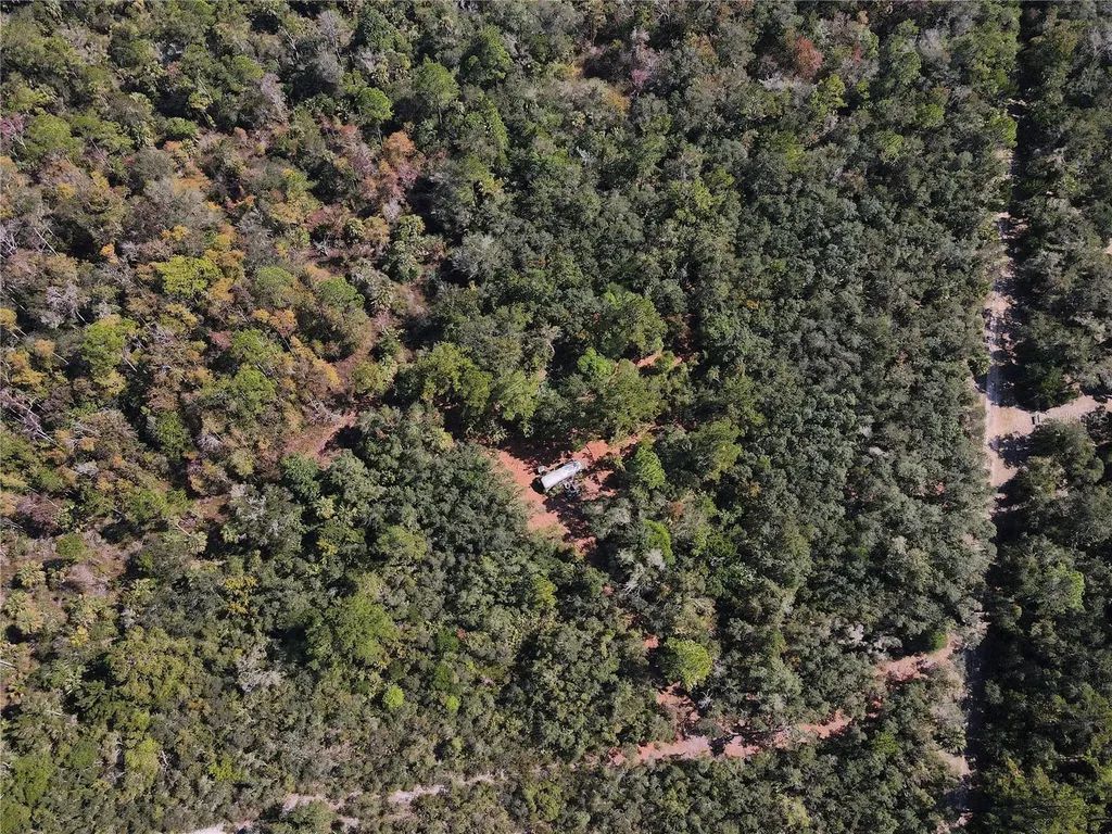 Tbd Quail Road Cedar Key FL 32625