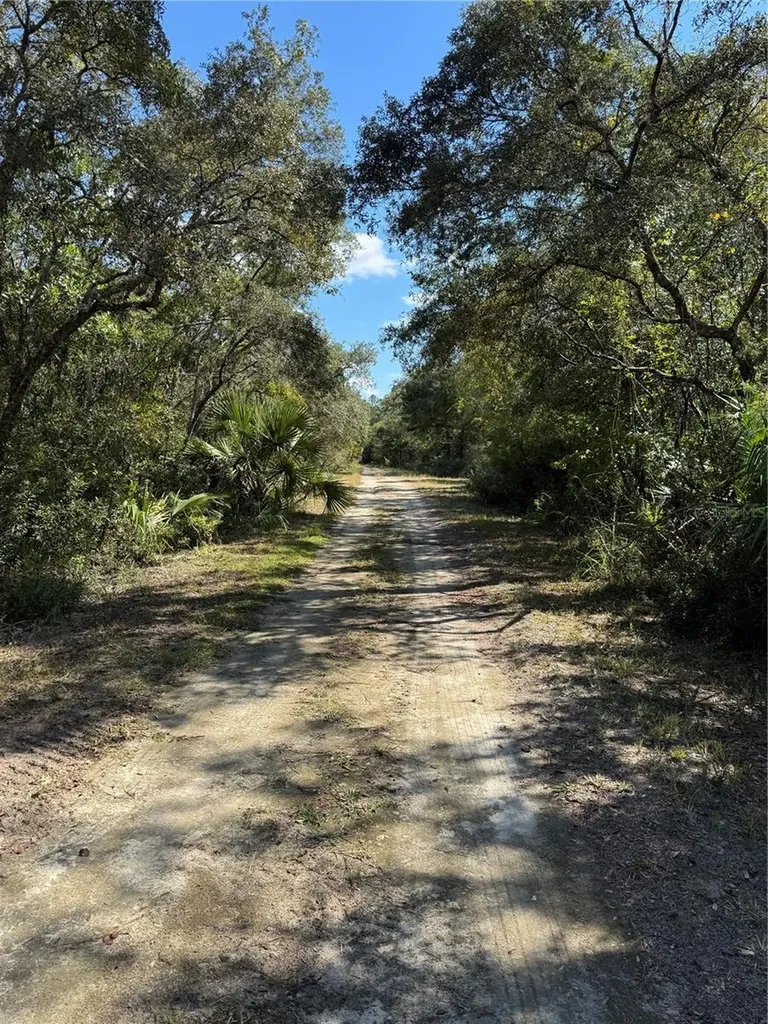 Tbd Quail Road Cedar Key FL 32625