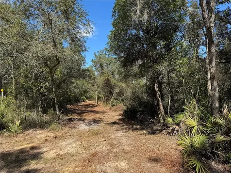 Tbd Quail Road Cedar Key FL 32625