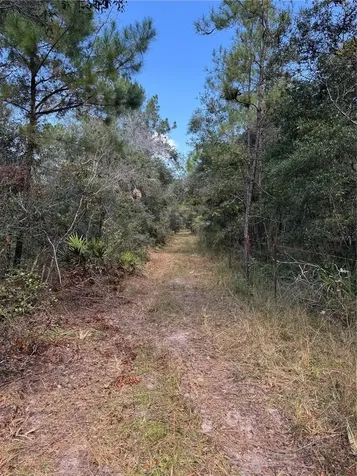 Tbd Quail Road Cedar Key FL 32625