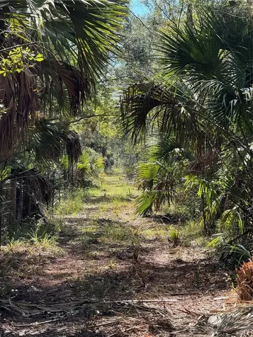 Tbd Quail Road Cedar Key FL 32625