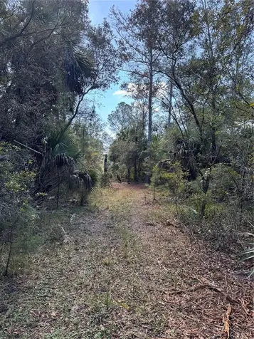 Tbd Quail Road Cedar Key FL 32625