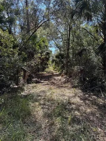 Tbd Quail Road Cedar Key FL 32625