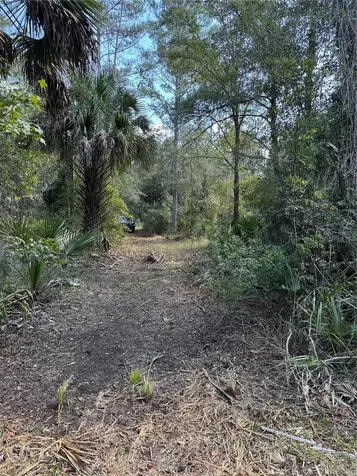 Tbd Quail Road Cedar Key FL 32625