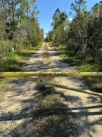 Tbd Quail Road Cedar Key FL 32625
