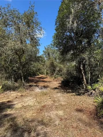 Tbd Quail Road Cedar Key FL 32625