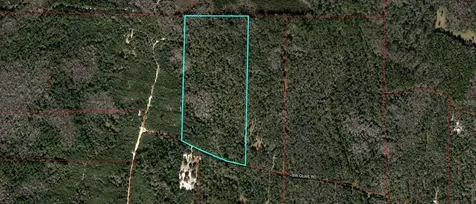 Tbd Quail Road Cedar Key FL 32625