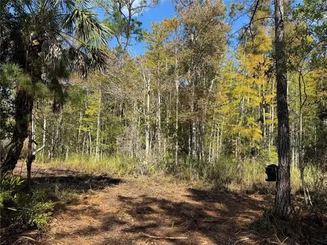 Tbd Quail Road Cedar Key FL 32625