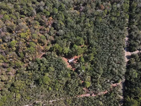 Tbd Quail Road Cedar Key FL 32625