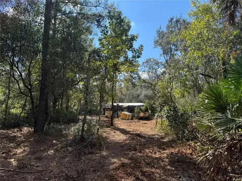 Tbd Quail Road Cedar Key FL 32625