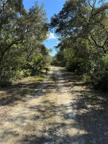 Tbd Quail Road Cedar Key FL 32625