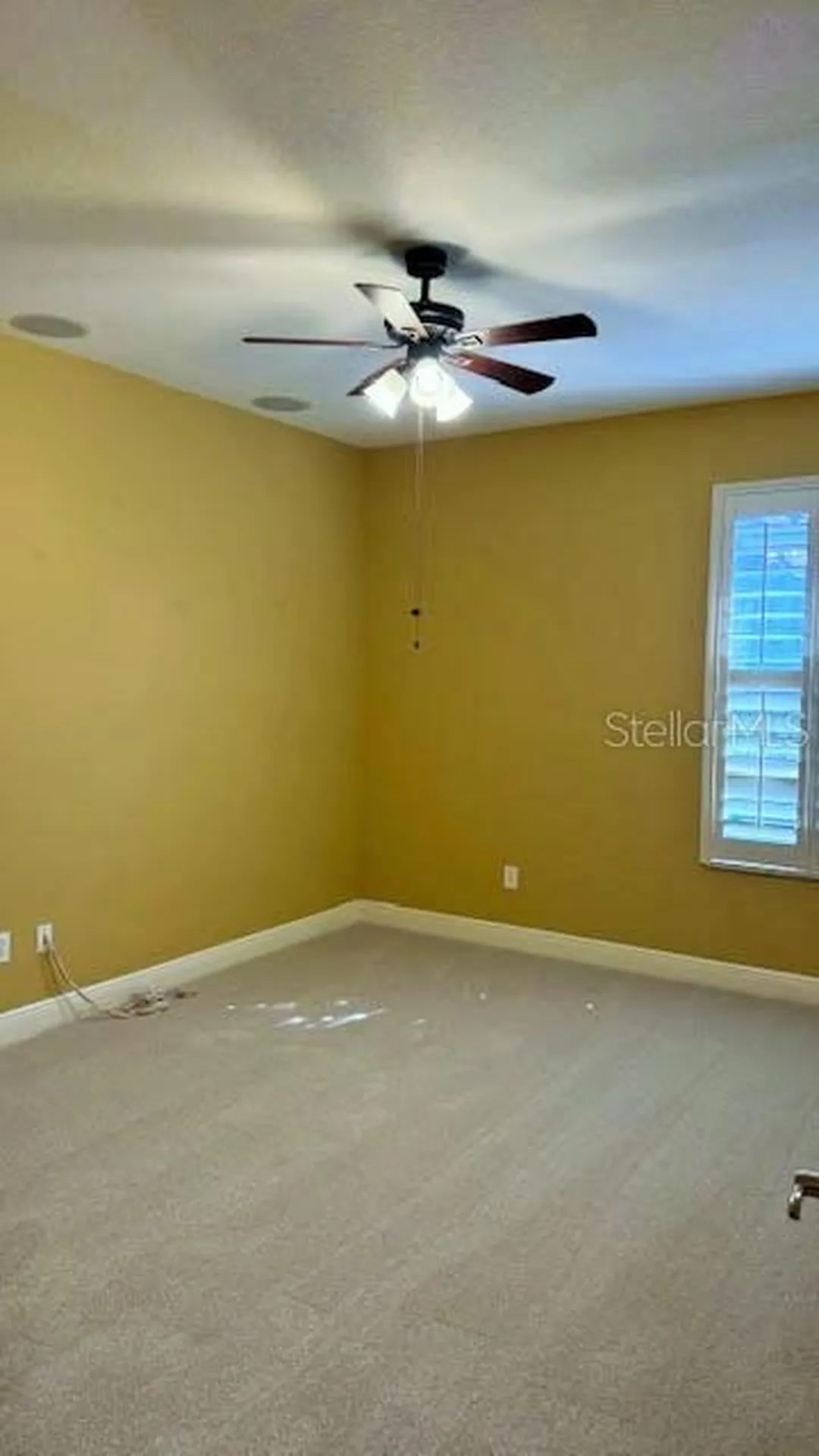 20010 Ryman Place Tampa FL 33647