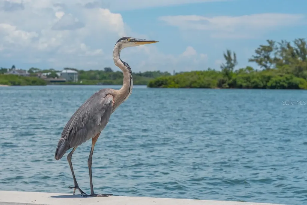 221 Island Circle Sarasota FL 34242