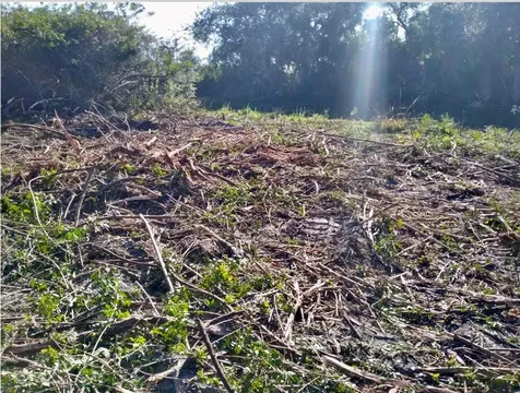 4193 Chippewa Street Port Charlotte FL 33981